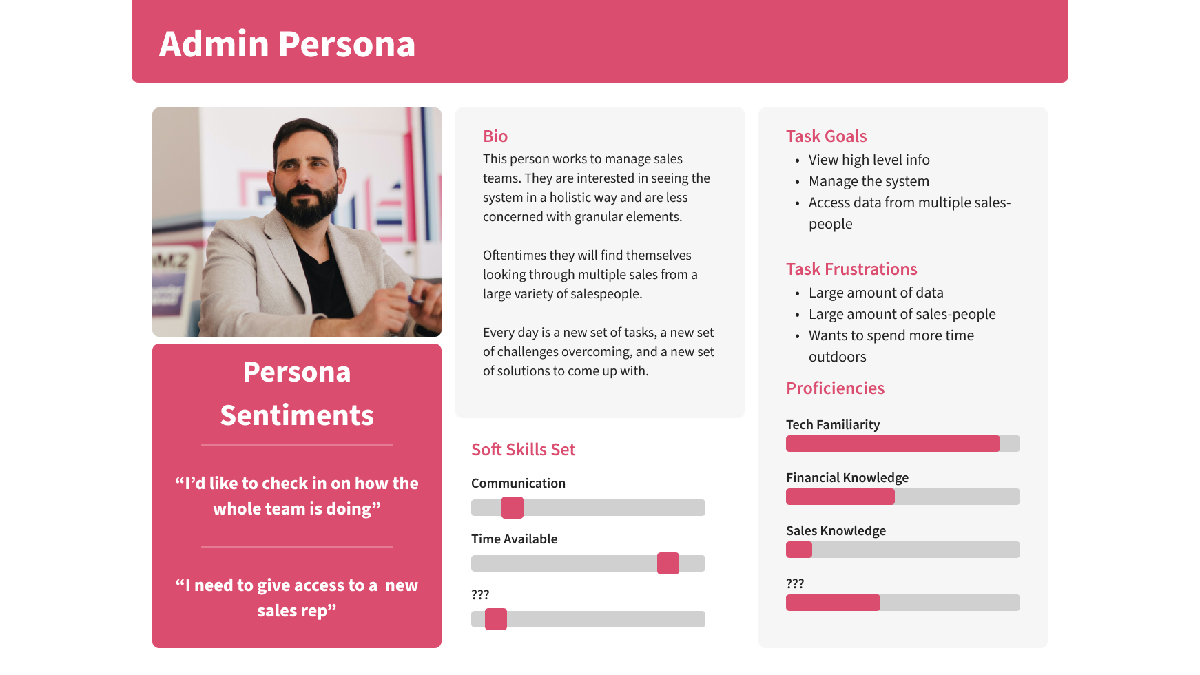 One of Visa's secondary user personas, their technical admins